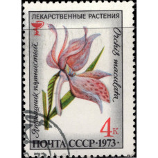 1973, сентябрь. Почтовая марка СССР. Лекарственные растения, 4 коп.