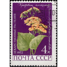 1972, март. Почтовая марка СССР. Лекарственные растения, 4 коп.