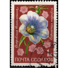 1974, ноябрь. Почтовая марка СССР. Цветы, 1 коп.