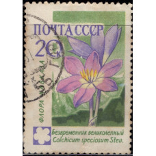1960, ноябрь. Почтовая марка СССР. Цветы, 20 копеек