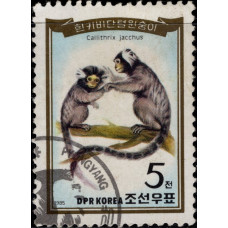 1985, июнь. Почтовая марка Северной Кореи (КНДР). Приматы, 5Ch
