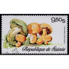 1977, февраль. Почтовая марка Гвинеи. Грибы, 9.50S