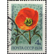 1974, ноябрь. Почтовая марка СССР. Цветы, 4 коп.